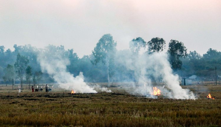 Stubble Burning