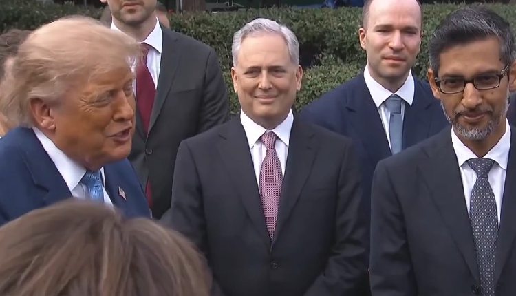 Trump & Google CEO Pichai