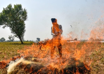 Stubble Burning