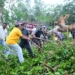 Cyclone Arnab