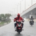 Rain