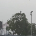 Cyclone Arnab